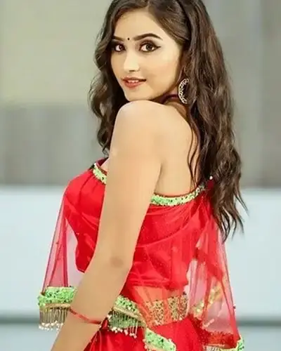 Escort In Nellore